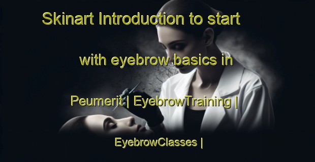 Skinart Introduction to start with eyebrow basics in Peumerit | EyebrowTraining | EyebrowClasses | SkinartTraining-France